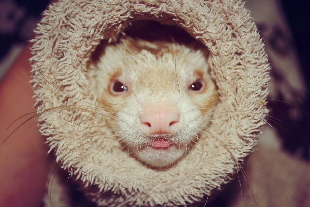 ... ����� �����  �� PhotoGeek.ru #�������� ���