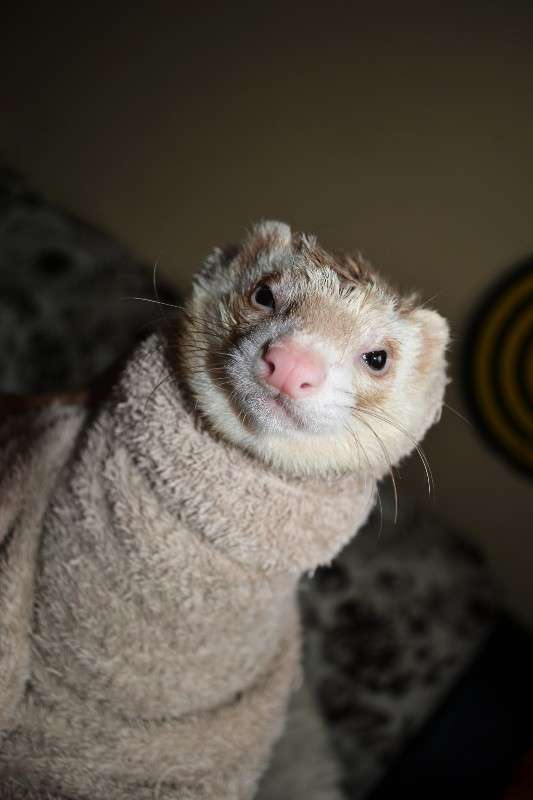 ... ����� �����  �� PhotoGeek.ru #�������� ���