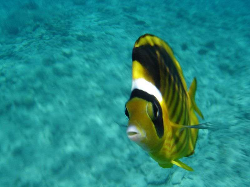 ���� ������� ����� ����� ��������� �� PhotoGeek.ru #�������� ��� #����� ��� ��� ���������