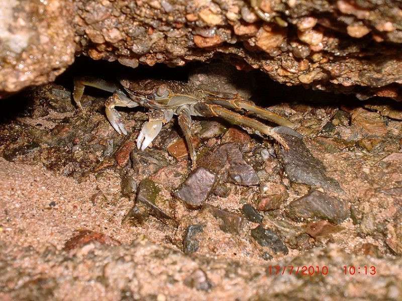 ������������ ���� ����� ����� ��������� �� PhotoGeek.ru #�������� ��� #����� ��� ��� ���������