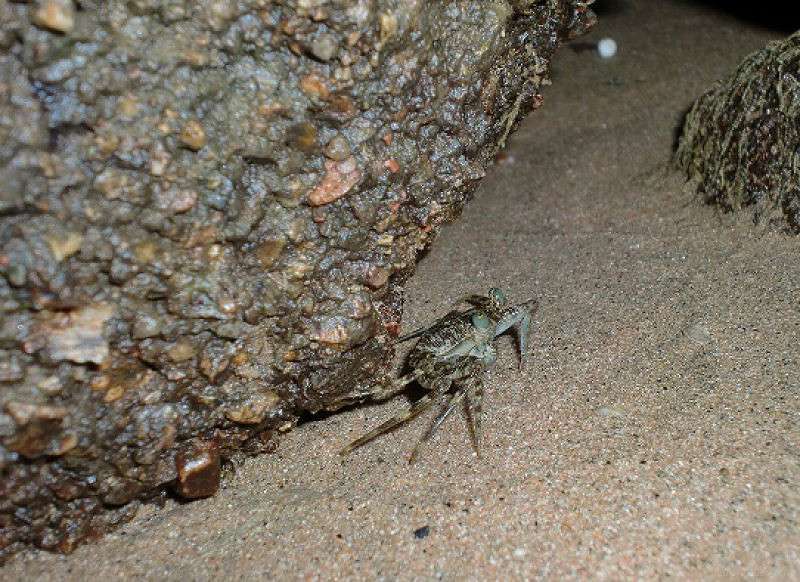 �������������� ����� ����� ��������� �� PhotoGeek.ru #�������� ��� #����� ��� ��� ���������