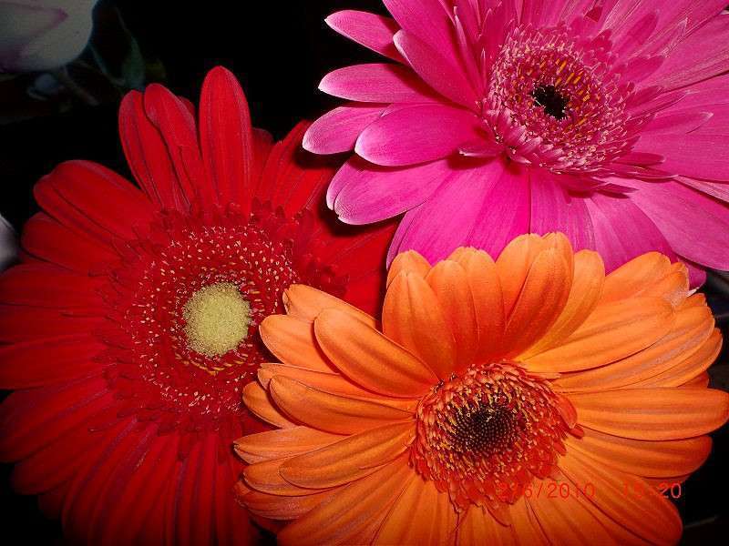 ������ ����� ����� ��������� �� PhotoGeek.ru #������ ��� ������� #����� ��������������