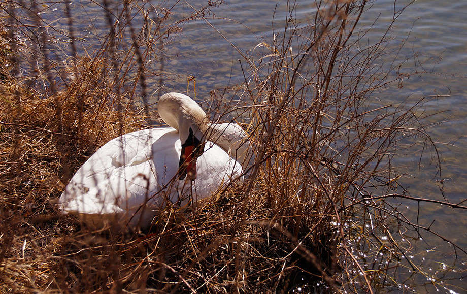 ��� ��� ������ ������� ����� �������  �� PhotoGeek.ru #�������� ���