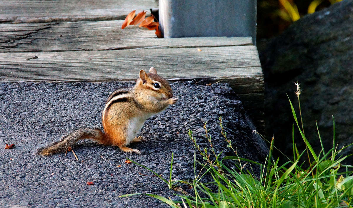 � �������� ����� �������  �� PhotoGeek.ru #�������� ���