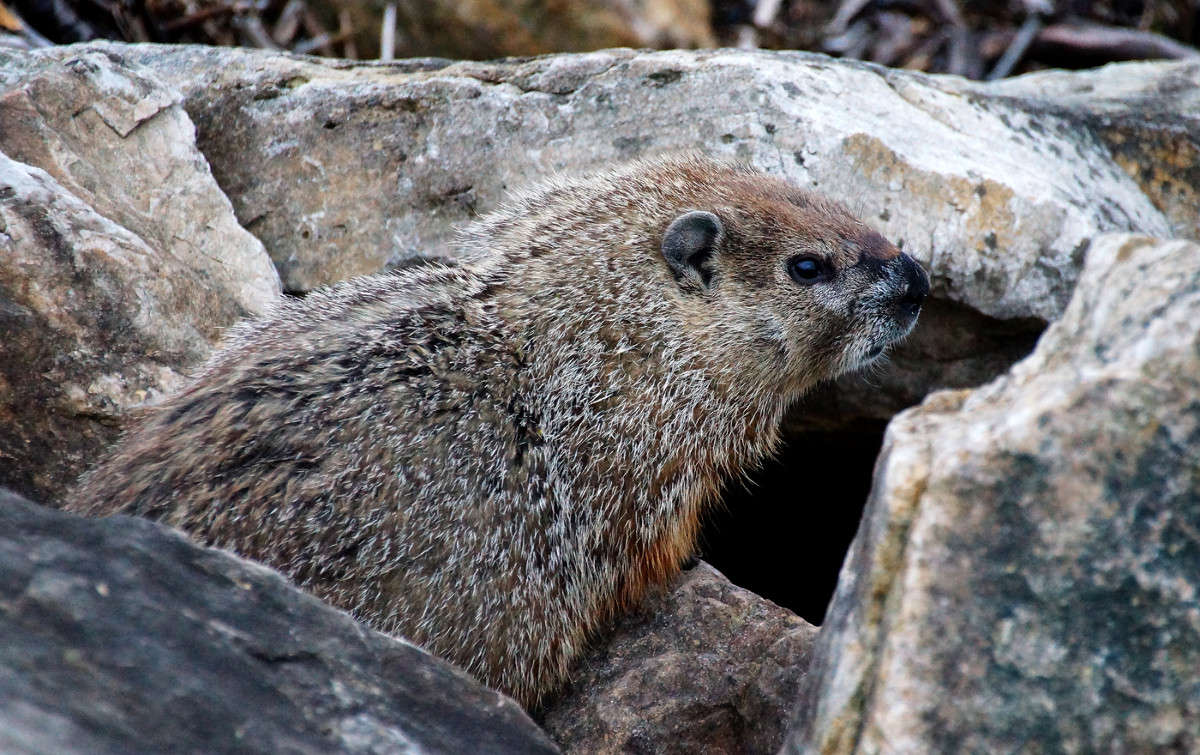 ����� �������� ����� �������  �� PhotoGeek.ru #�������� ���