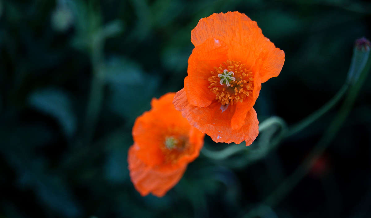 ������. �� �������. ����� �������  �� PhotoGeek.ru #������ ��� �������