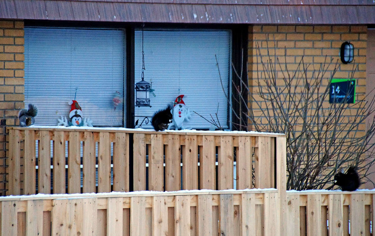 ������ ����� �������  �� PhotoGeek.ru #�������� ���