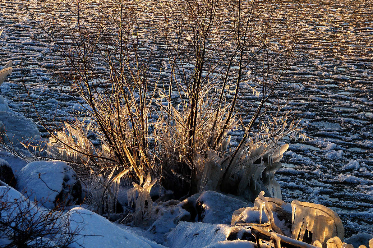 ����� ����� �������  �� PhotoGeek.ru #������ ��� �������