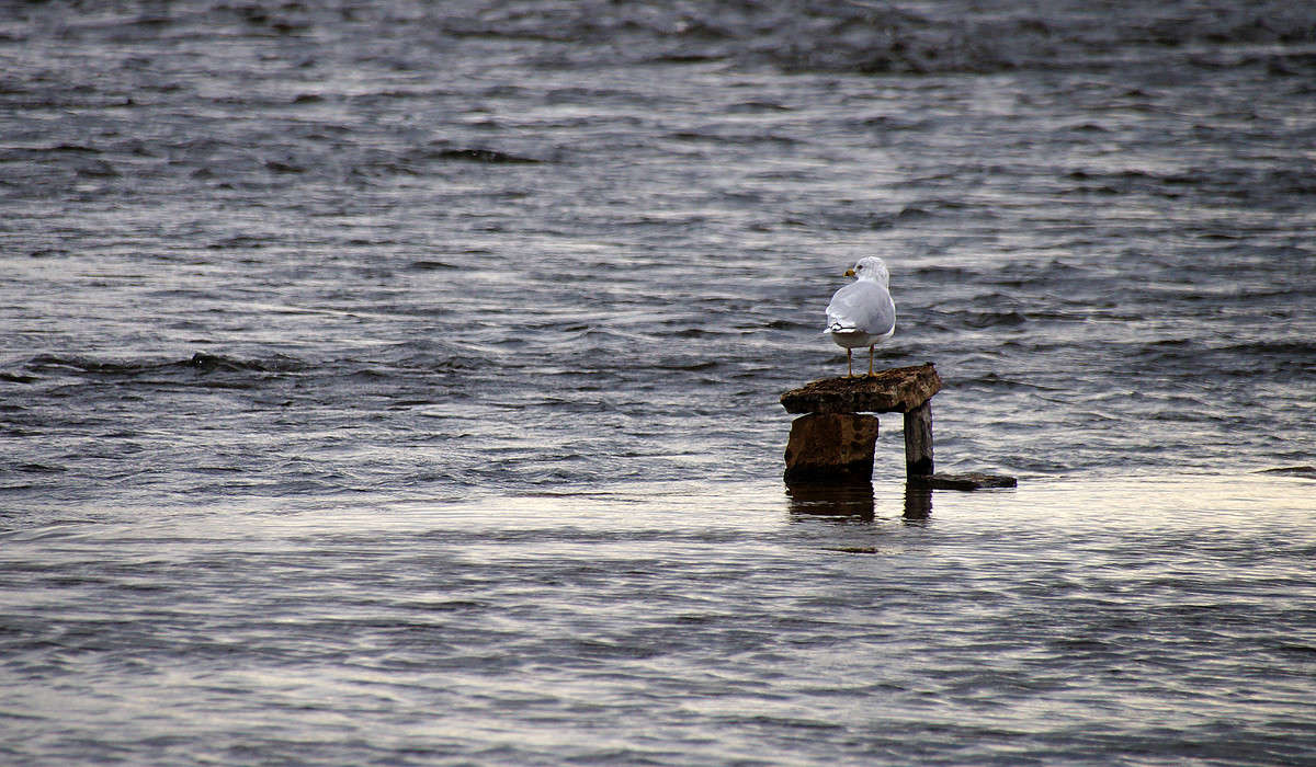 ��������� ���� ��� ���� ����� �������  �� PhotoGeek.ru #�������� ���