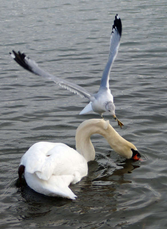 ��� �����... ����� �������  �� PhotoGeek.ru #�������� ���