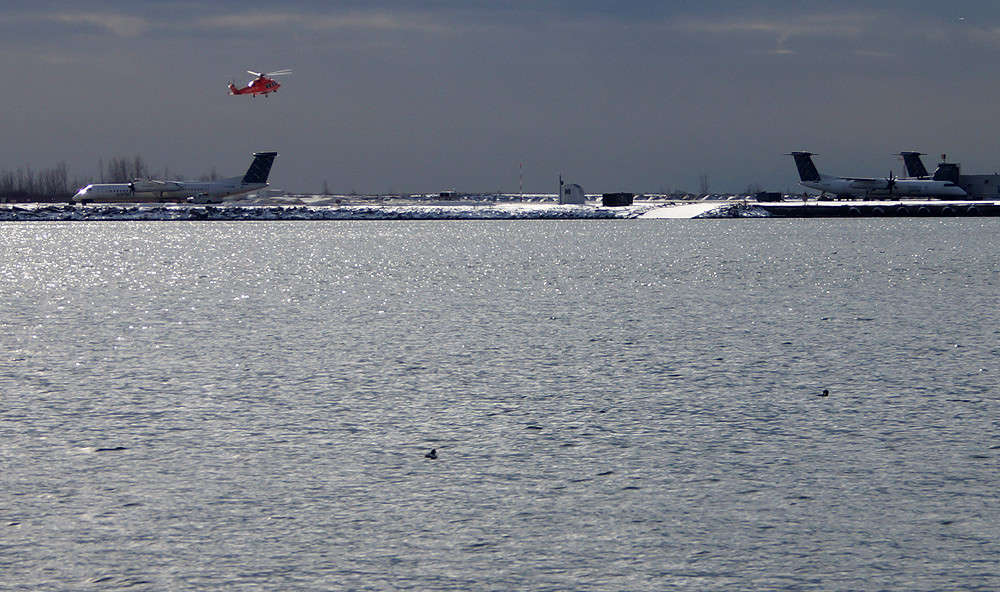 ���� � ��������� ����� ���� ����� �������  �� PhotoGeek.ru #�����