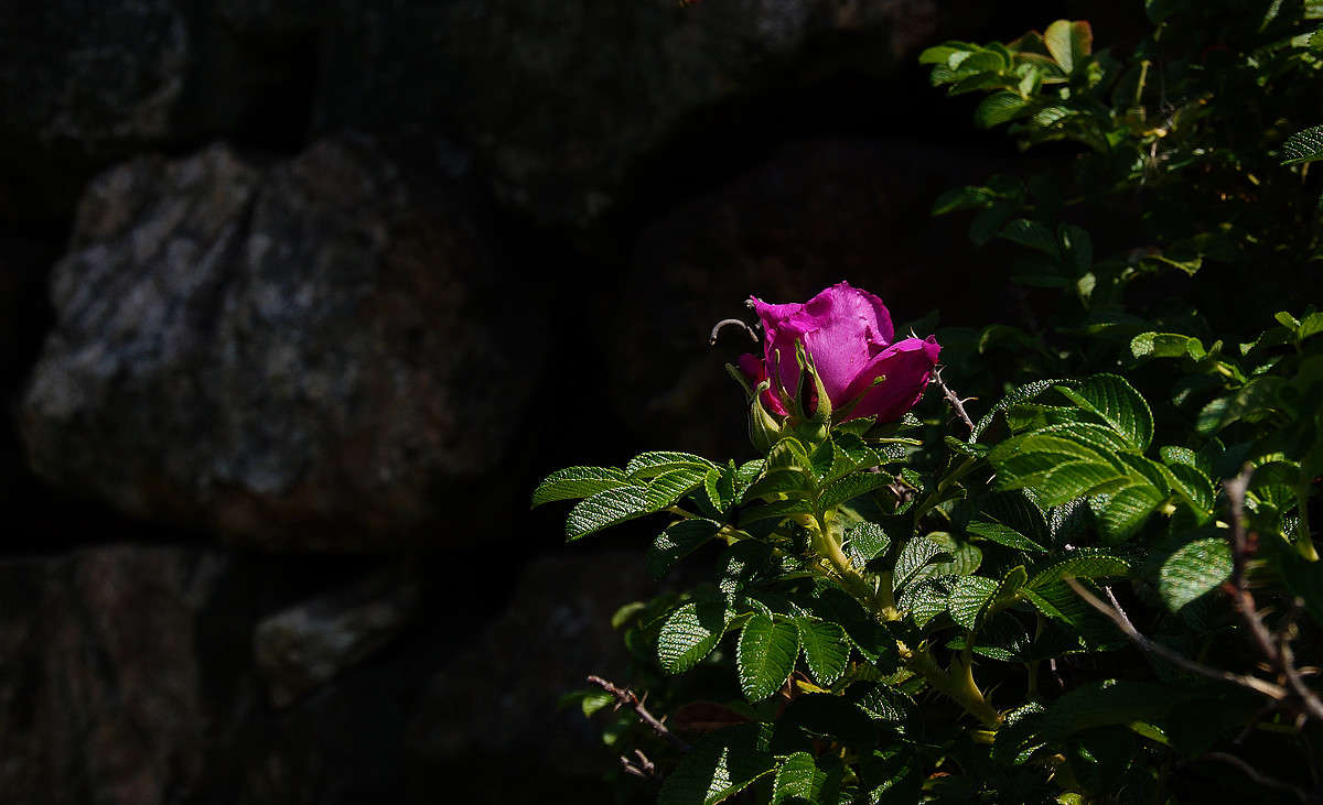 ������ ������ ����� �������  �� PhotoGeek.ru #������ ��� �������
