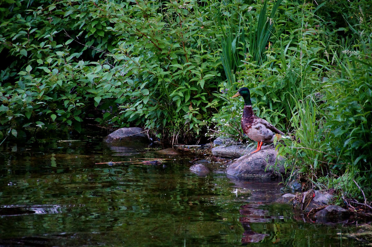 ����� �� ��� ������� ���� ����� �������  �� PhotoGeek.ru #�������� ���