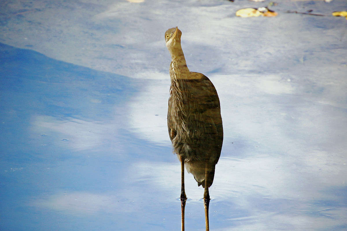 ��������� ����� �������  �� PhotoGeek.ru #�������� ���