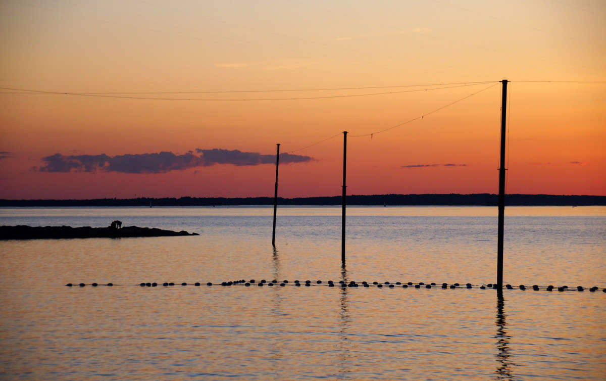 ���� �� ����� ����� �������  �� PhotoGeek.ru #������ ��� �������