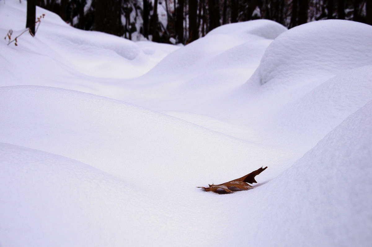 ���� ��� ������ ����� �������  �� PhotoGeek.ru #������ ��� �������