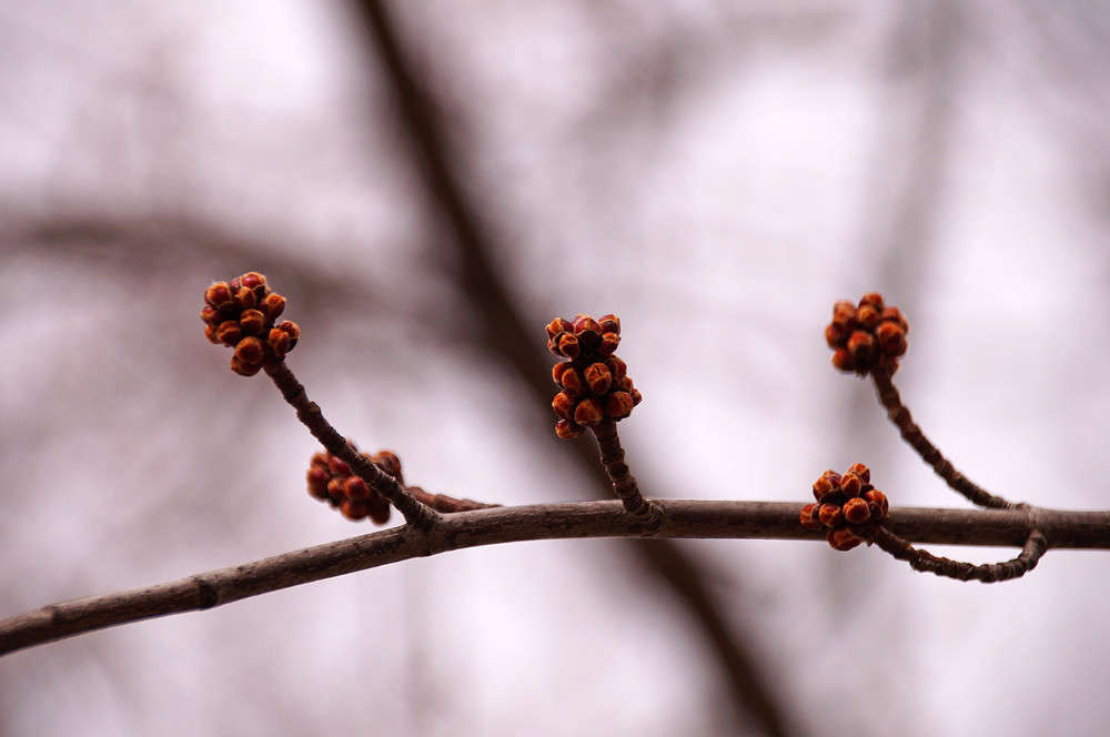 ������ ������ ����� �������  �� PhotoGeek.ru #������ ��� �������