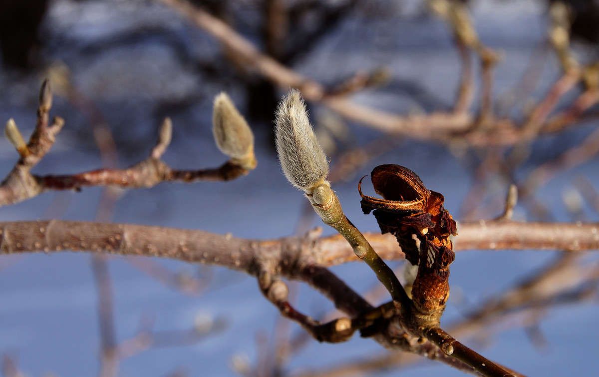 �� � ������! ����� �������  �� PhotoGeek.ru #������ ��� �������