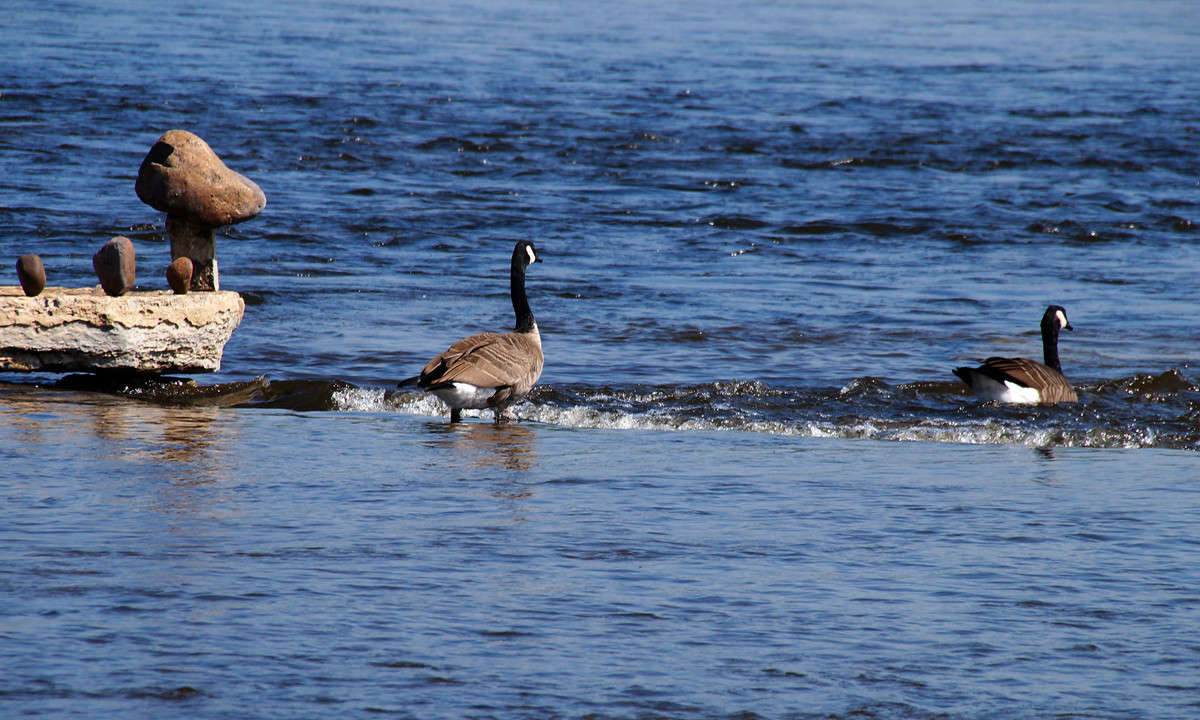 ����������� ����� �������  �� PhotoGeek.ru #�������� ���