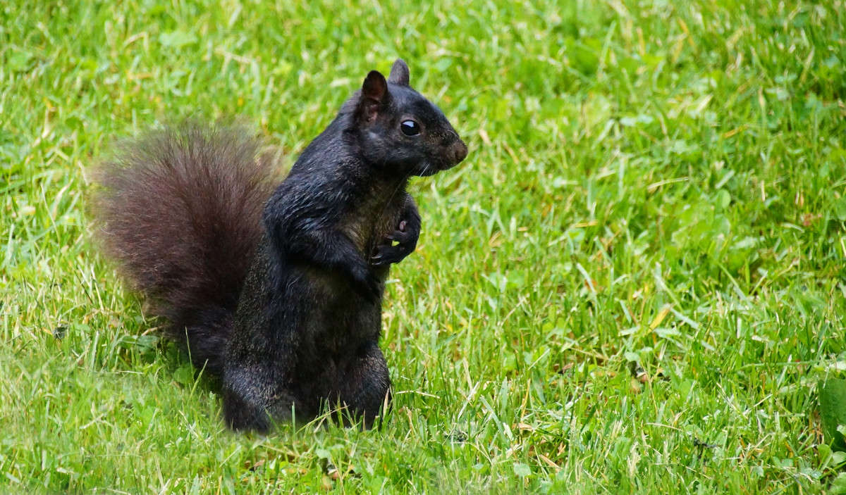 �� ��������. ����� �������  �� PhotoGeek.ru #�������� ���