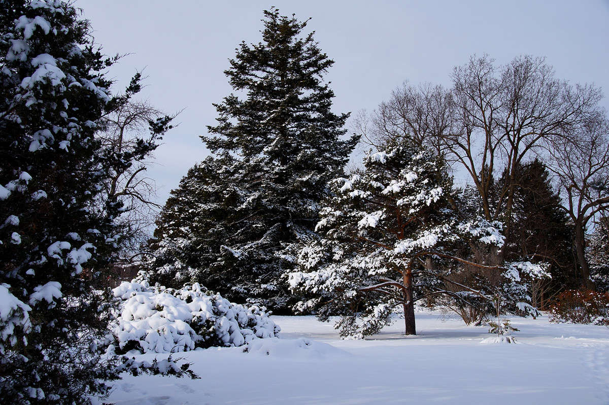 ���� �� ����� �������  �� PhotoGeek.ru #������ ��� �������