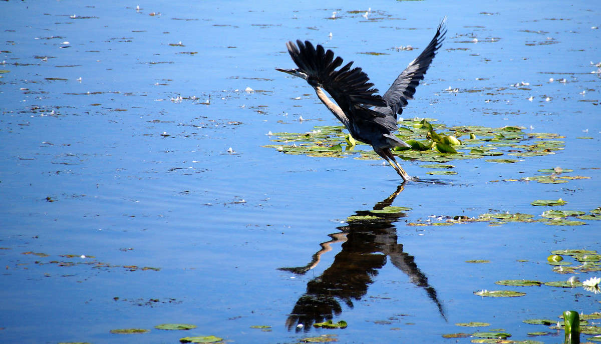 �������� ����� �������  �� PhotoGeek.ru #�������� ���