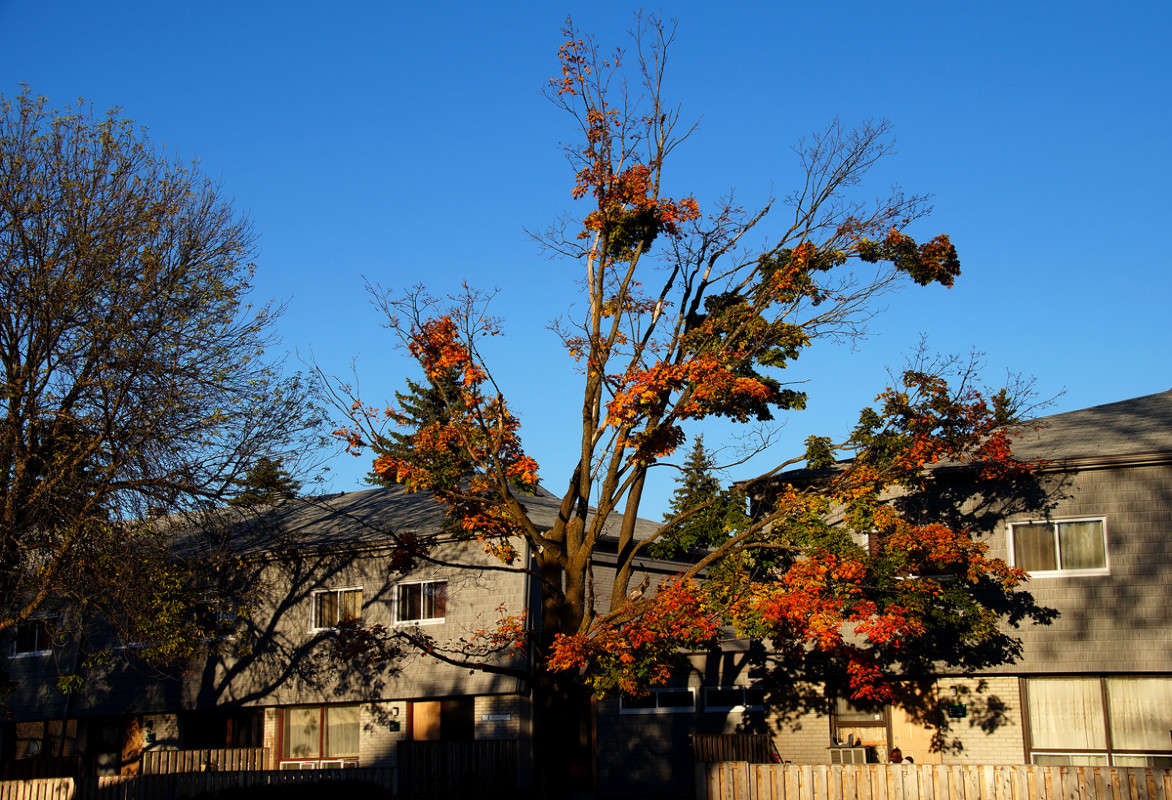 ������ ����� ����� �������  �� PhotoGeek.ru #�����