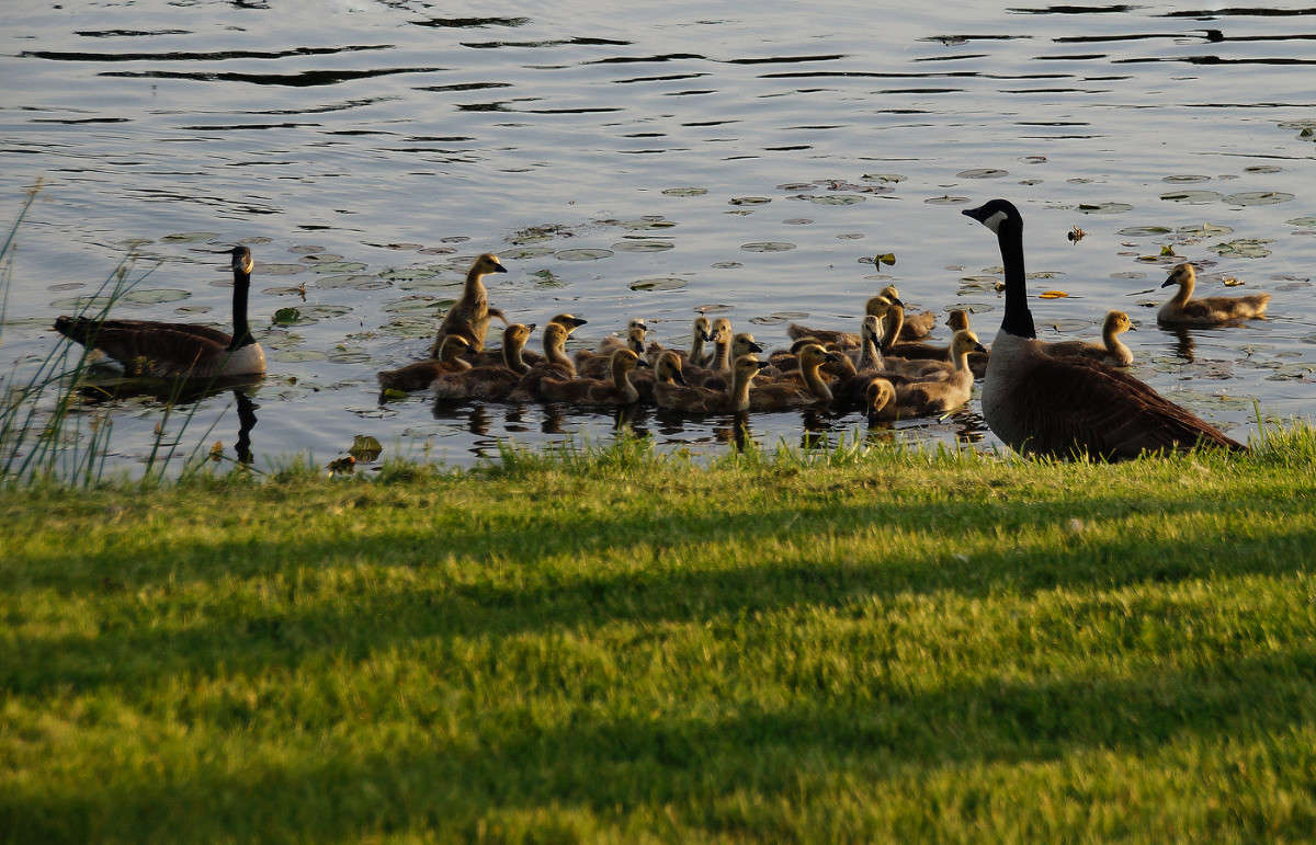 ����-������� ����� �������  �� PhotoGeek.ru #�������� ���