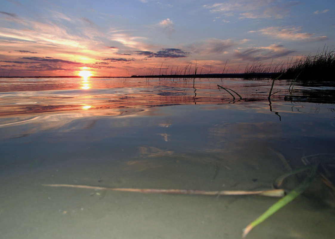 ������� ��� ����� �������  �� PhotoGeek.ru #������ ��� �������
