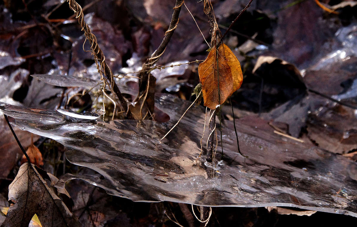 ������� ������ ����� �������  �� PhotoGeek.ru #������ ��� �������