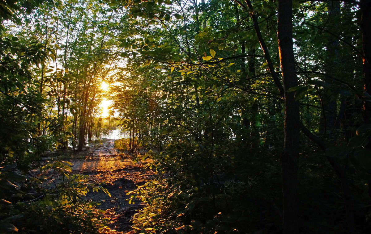 ��������� ����� ����� �������  �� PhotoGeek.ru #������ ��� �������