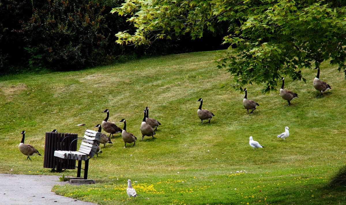 ����� ���� ����� �������  �� PhotoGeek.ru #�������� ���