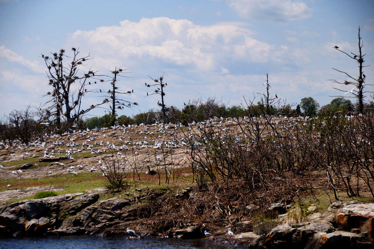 ������ ���� ����� �������  �� PhotoGeek.ru #�������� ���