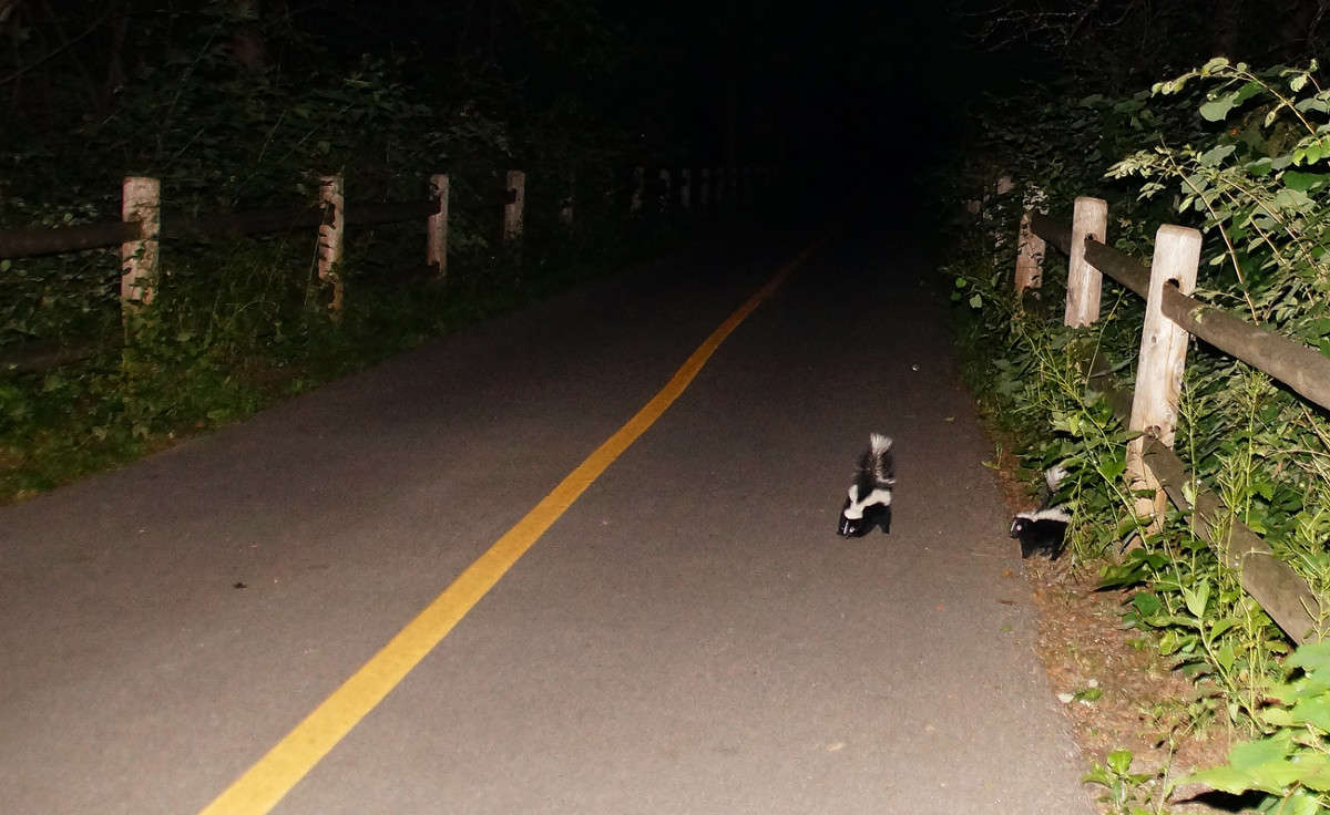 �������� ����� �������  �� PhotoGeek.ru #�������� ���