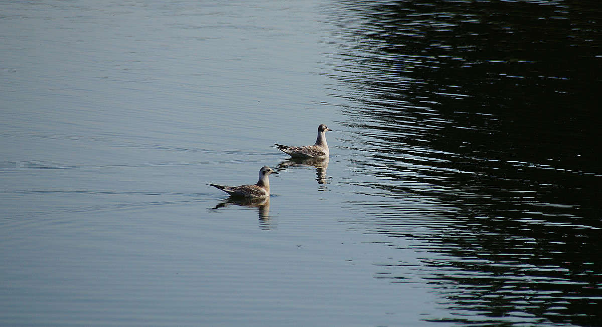 ������ ����� �������  �� PhotoGeek.ru #�������� ���