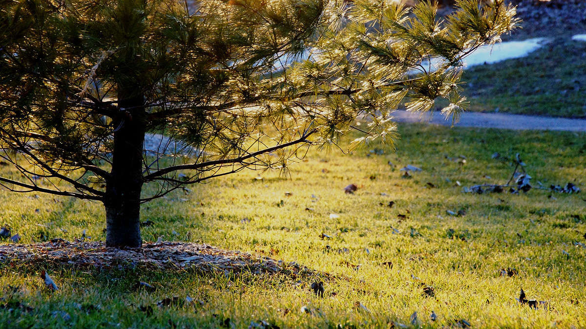 ����� ����� 10 �� �� ����� ����� �������  �� PhotoGeek.ru #������ ��� �������