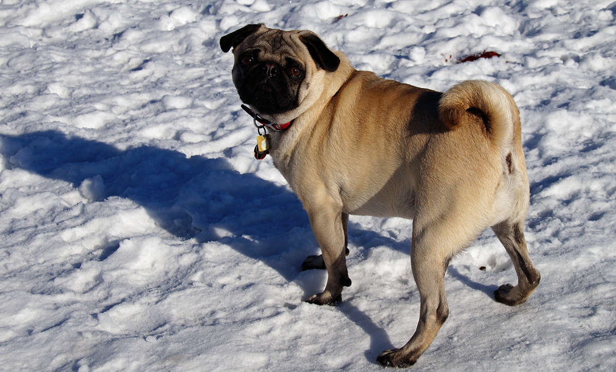 ��� �� � ��������... ����� �������  �� PhotoGeek.ru #�������� ���