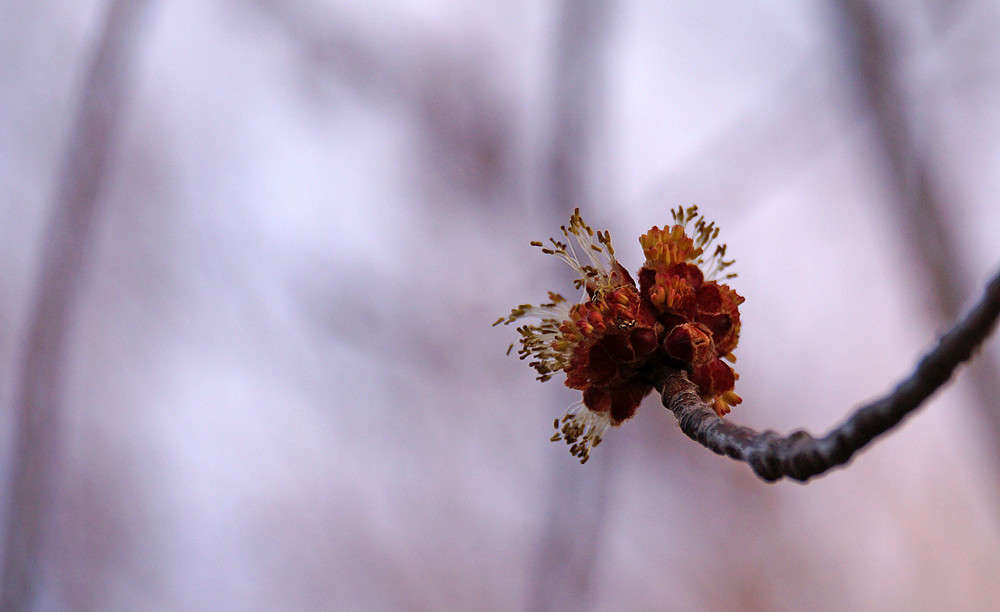 ��� ������ ����� �������  �� PhotoGeek.ru #������ ��� �������