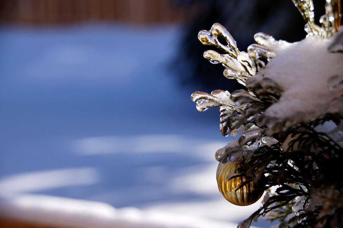 ���� �� ���� ����� �������  �� PhotoGeek.ru #�����