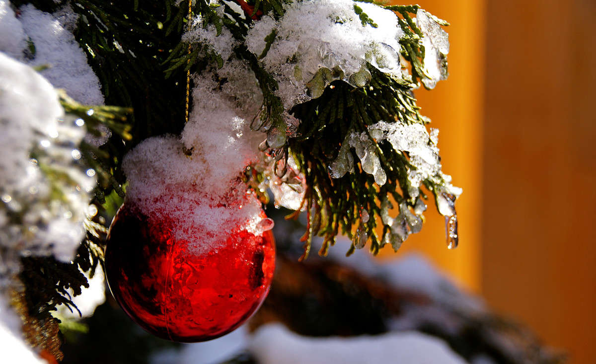 ����� ������ �����... ����� �������  �� PhotoGeek.ru #�������� ����������