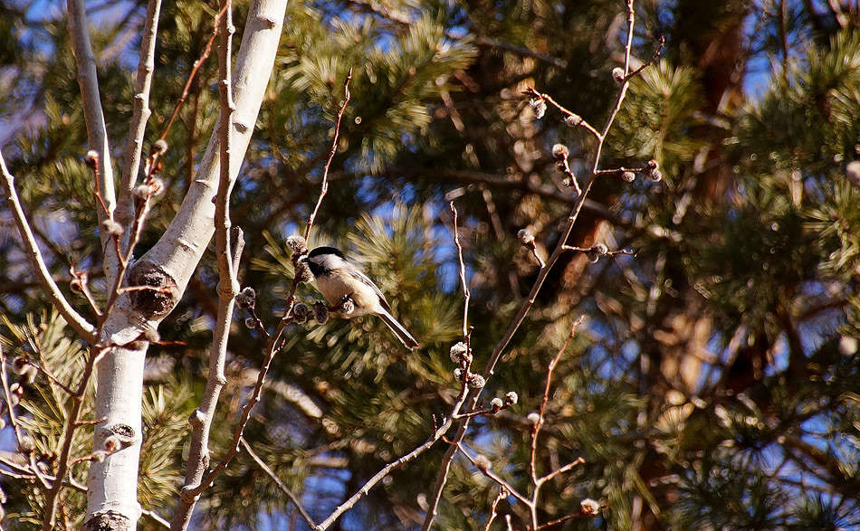 ���������� ����� �������  �� PhotoGeek.ru #�������� ���