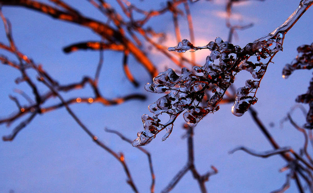 � �������� �������� ������ ����� �������  �� PhotoGeek.ru #������ ��� �������