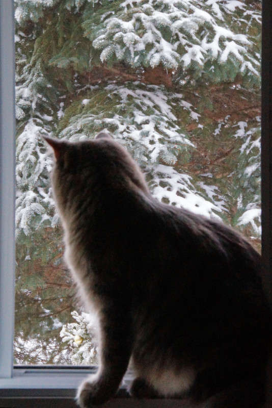 � ���������� ����� ����� �������  �� PhotoGeek.ru #�������� ���