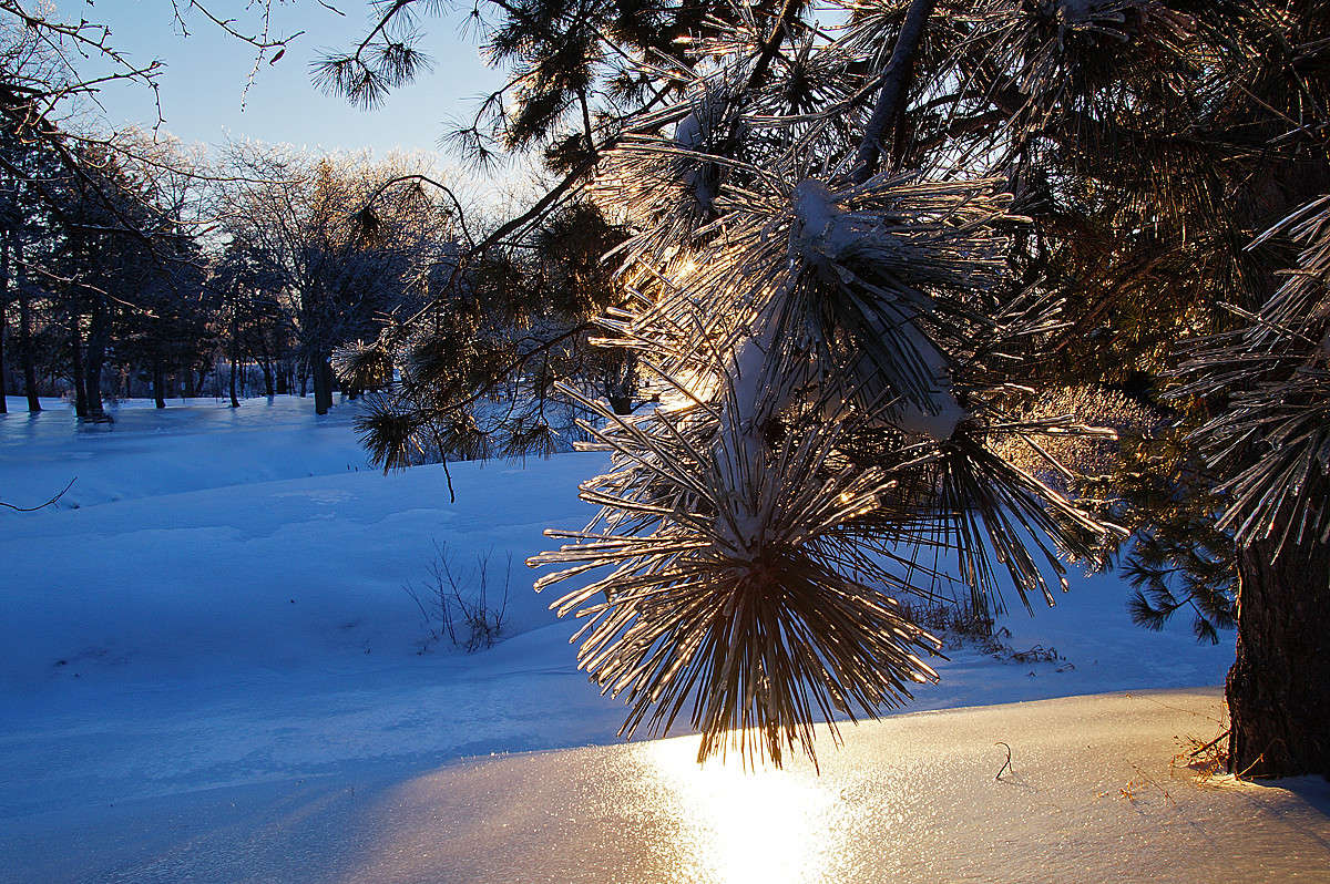 ����������� - ������� ���! ����� �������  �� PhotoGeek.ru #������ ��� �������