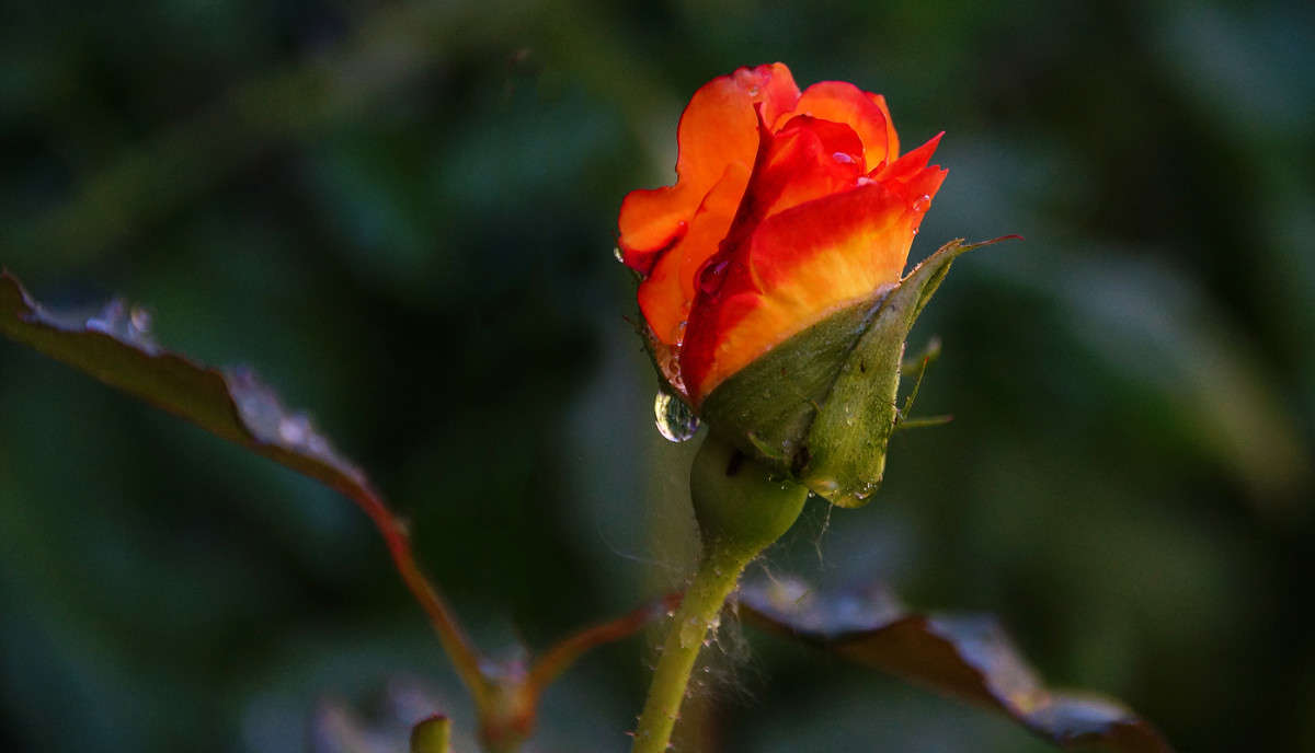 �� ������ �� ���������� �����! ����� �������  �� PhotoGeek.ru #������ ��� �������