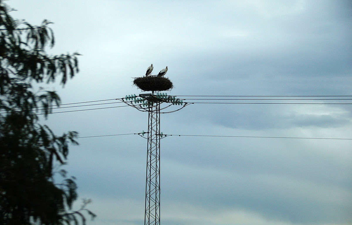 � �� ����������, ���������... ����� �������  �� PhotoGeek.ru #�������� ���