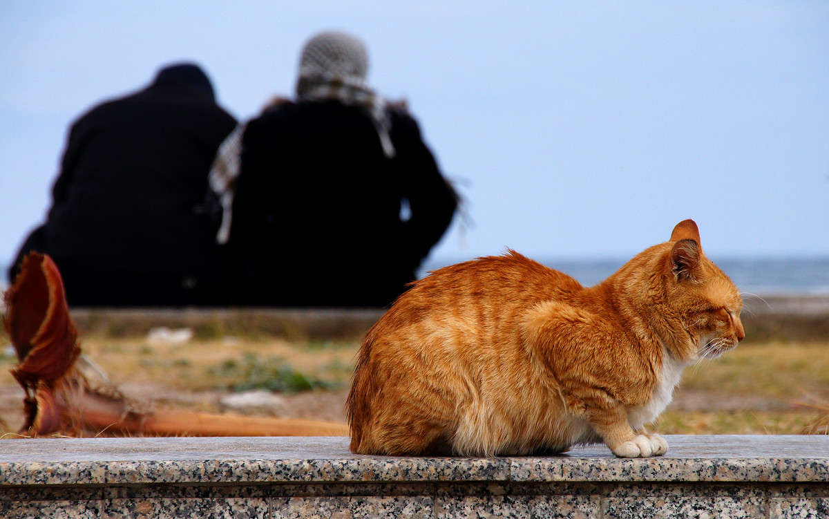 �� ������ �������� ����� �������  �� PhotoGeek.ru #�������� ���