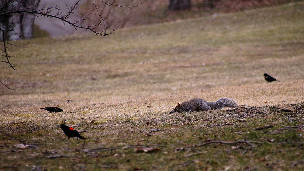 ����� ������ ���� ����� �������  �� PhotoGeek.ru #�������� ��� #������ ��� �������