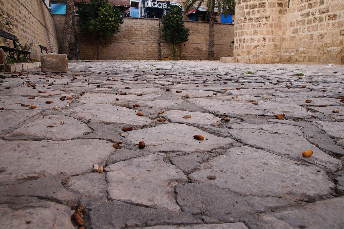 �� ����� �� ��������. ����� �������  �� PhotoGeek.ru #�����