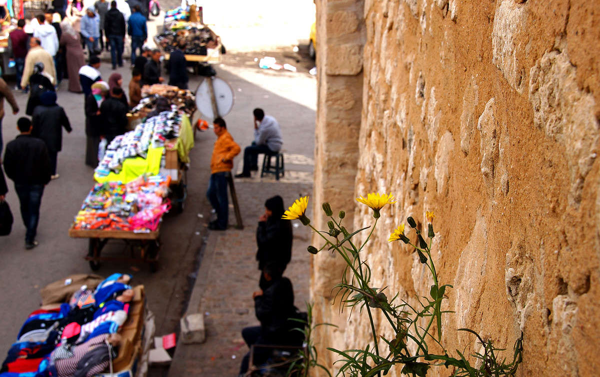 ��� �������� ����� �������  �� PhotoGeek.ru #�����